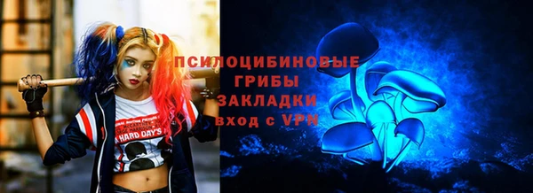 дживик Баксан