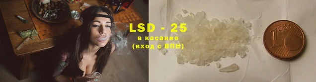 дживик Баксан